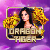 nustar casino cebu Dragon Tiger